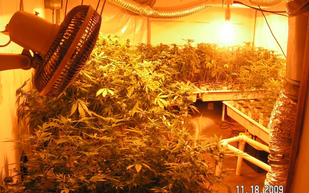 SSA policy is that drug dealing can be considered “substantial gainful activity”