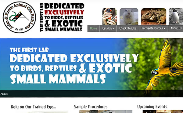 veterinarian-website in dayton ohio veterinarian-website in dayton ohio