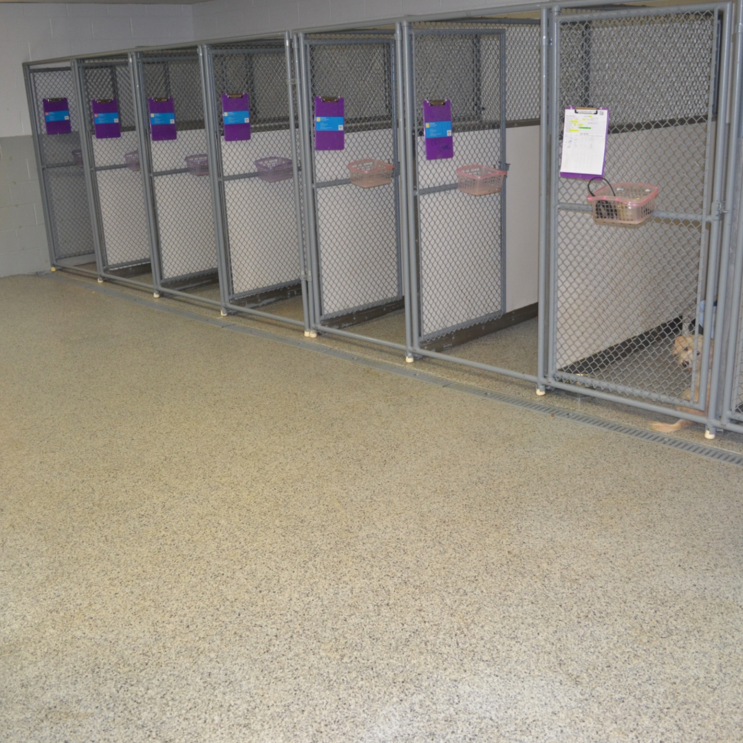 commercial and residential epoxy floor concrete coating in Piqua Locker Room Concrete Coating Circle Image